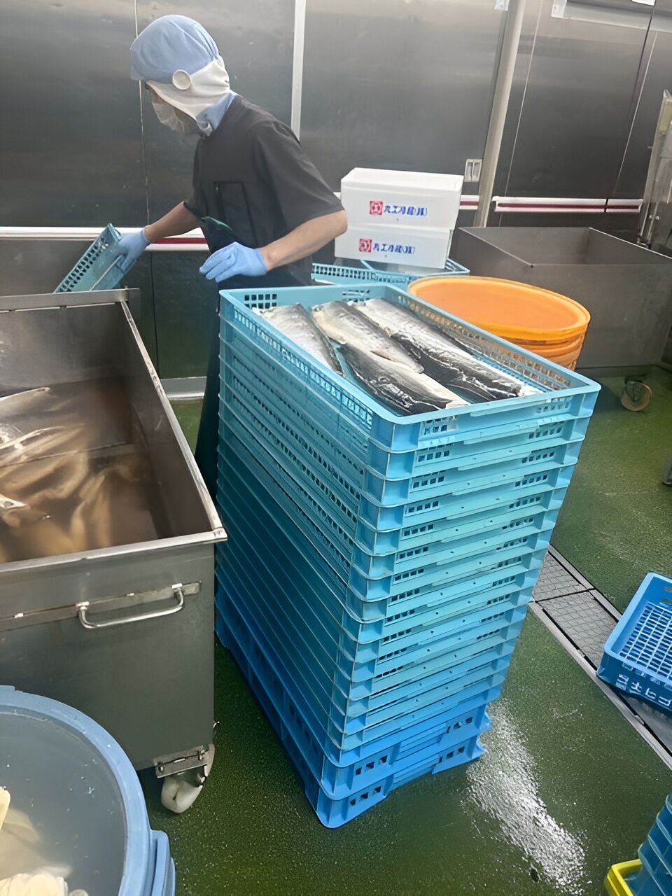 職人が細かく確認しながら水揚げ